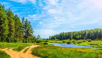 Какие жалюзи выбрать к лету